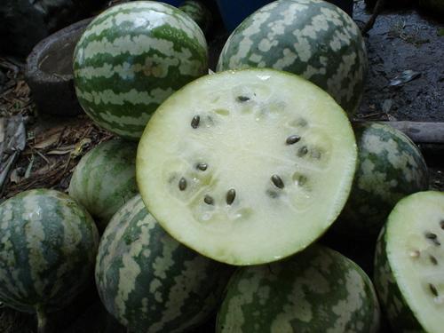 冰淇淋绿宝瓜怎么吃,夏日清新美味新尝试