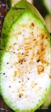 梦吃小瓜,探寻梦境中的美食奇遇