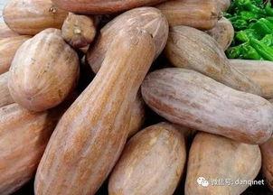 大圆方瓜怎么吃,大圆方瓜的多样食法探索