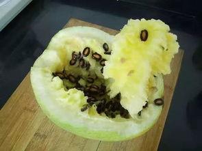 吃籽瓜的季节,籽瓜丰收季