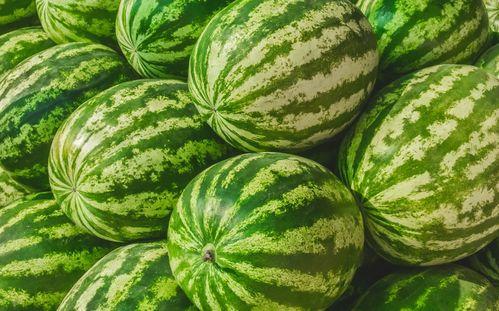 到哪可以吃瓜,畅享夏日吃瓜盛宴