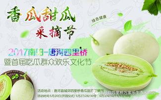 摄影大咖吃瓜,揭秘幕后趣闻与行业风云