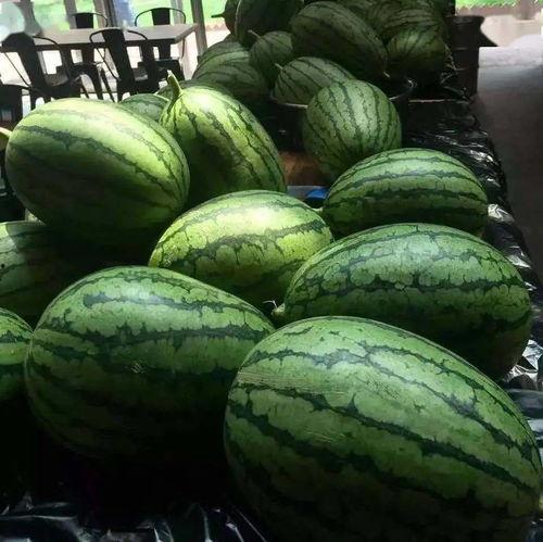 德福18吃瓜,揭秘“吃瓜群众”背后的故事与影响