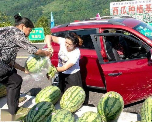 游客吃瓜群众,揭秘旅游现场的趣味众生相
