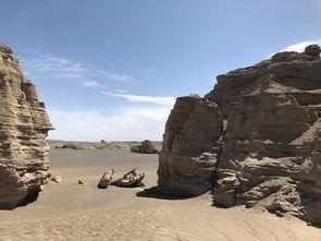 有瓜吃哈密,揭秘“有瓜吃哈密”的独特魅力