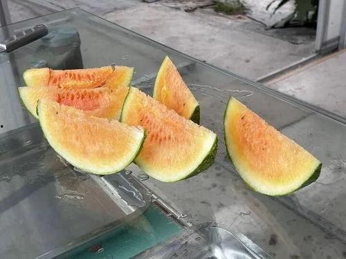 漂亮 吃瓜,探寻“漂亮吃瓜”背后的故事