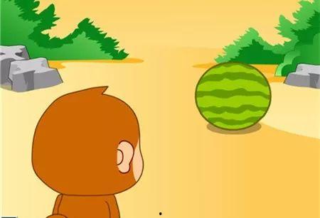 给小猴子吃瓜,欢乐时光里的甜蜜滋味